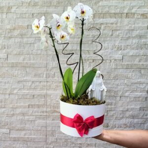 Orquídea Santa Mãe